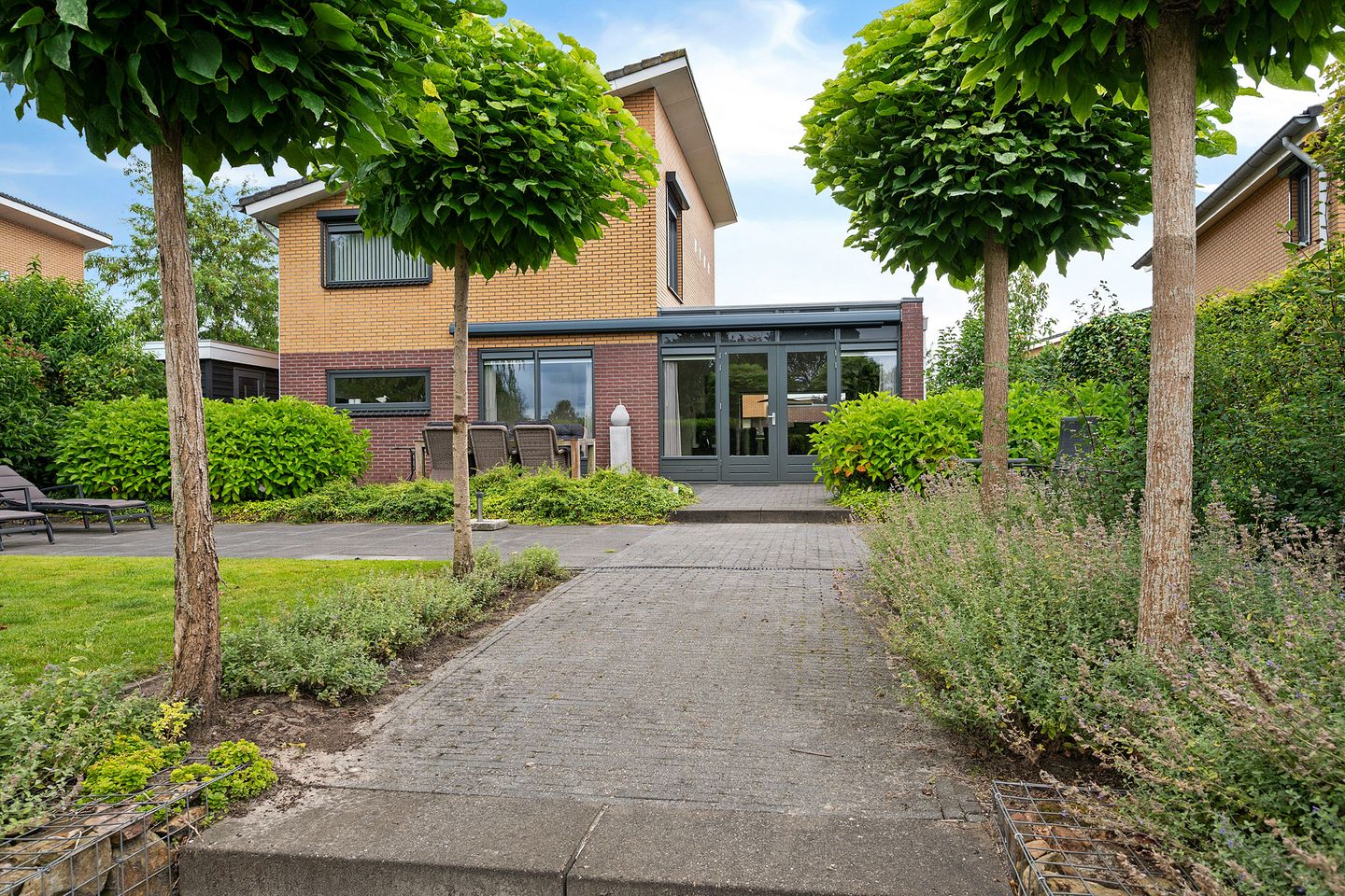 Photo 40 of Waterranonkel 6