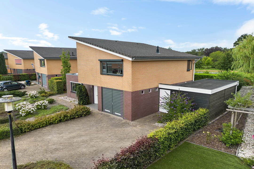 Photo 41 of Waterranonkel 6