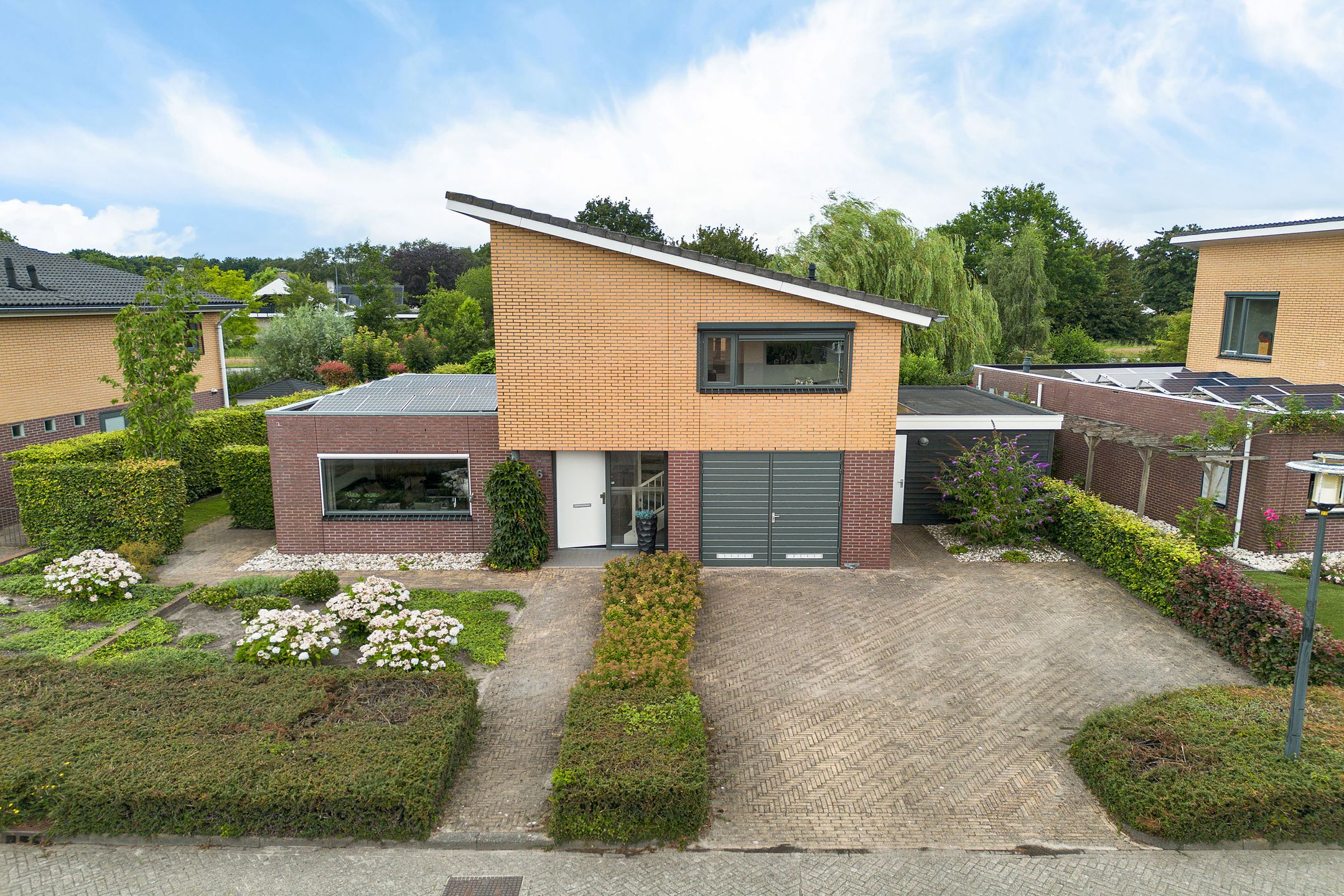 Photo 42 of Waterranonkel 6