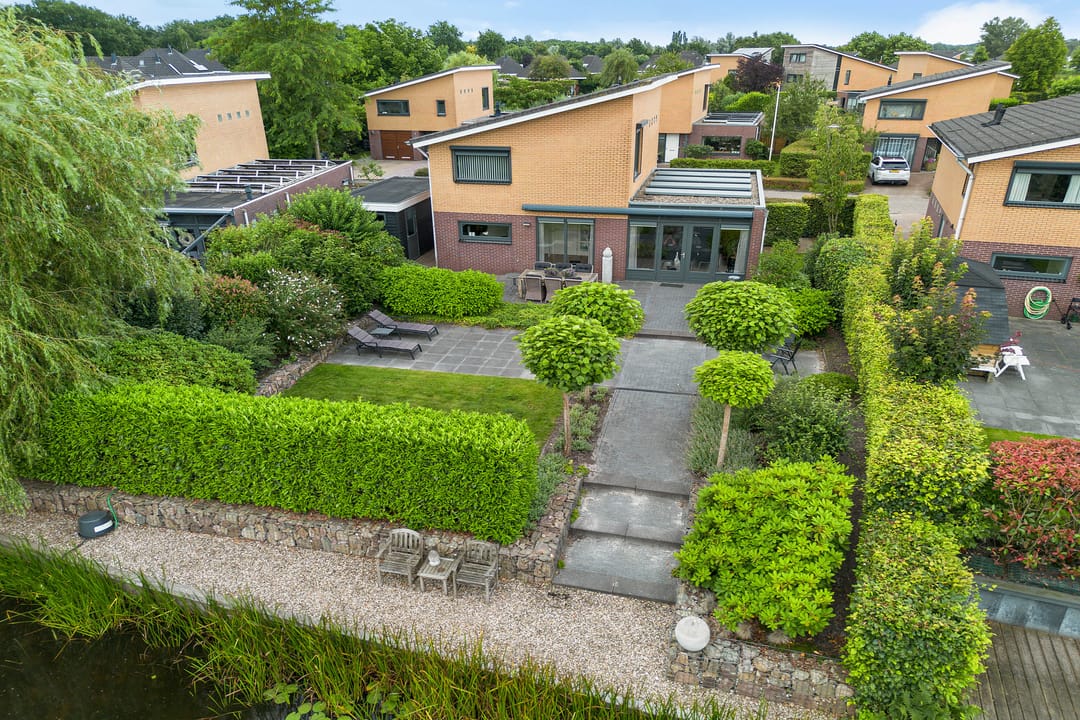 Photo 43 of Waterranonkel 6