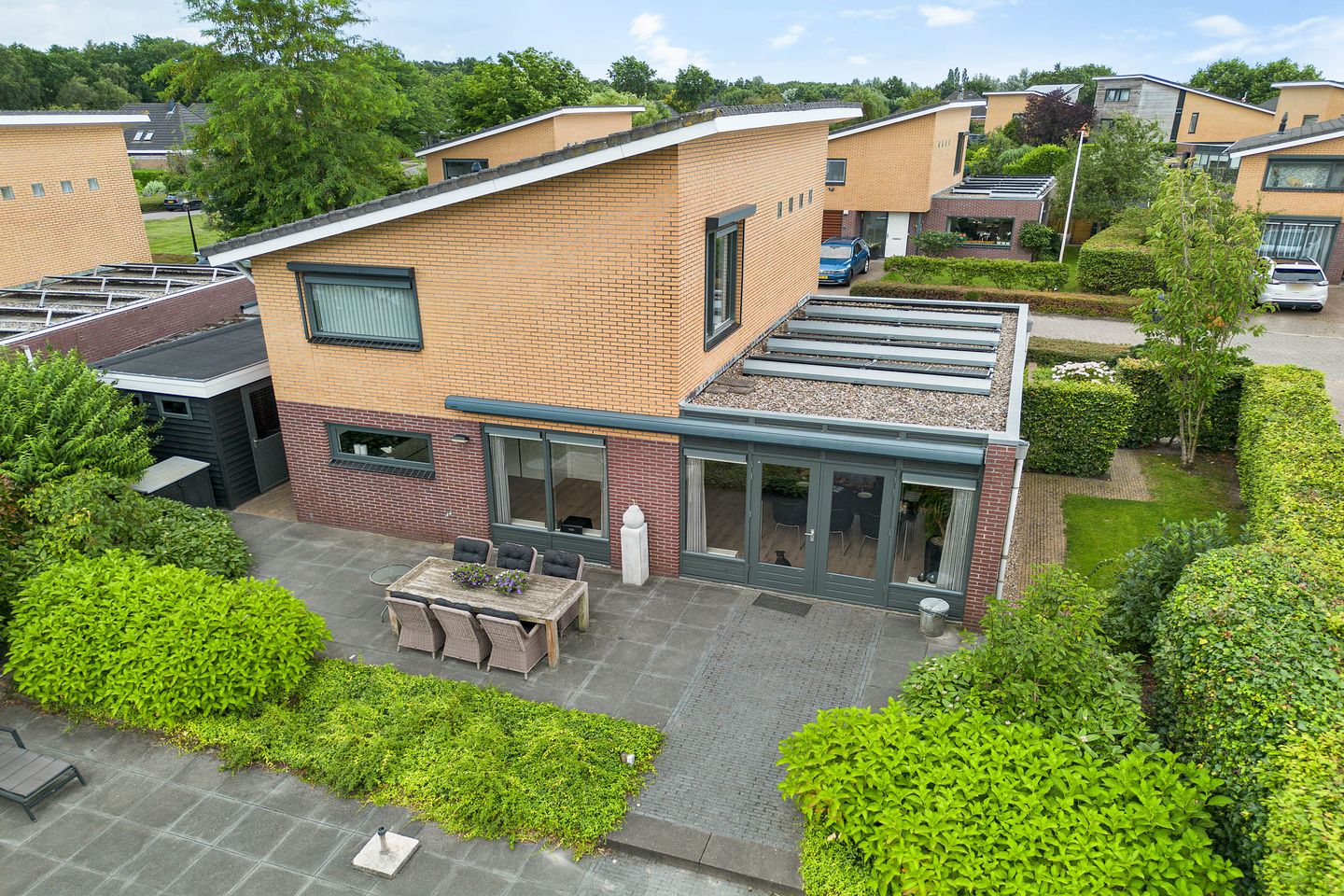 Photo 44 of Waterranonkel 6