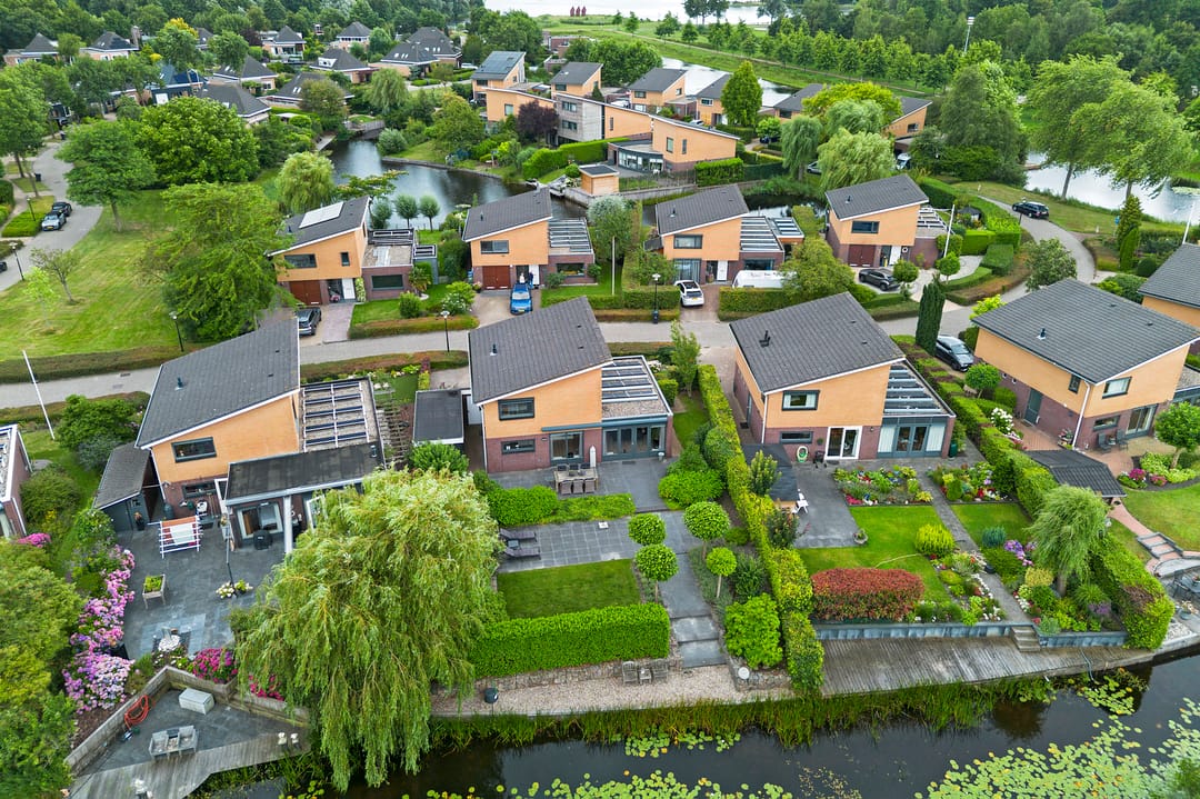 Photo 46 of Waterranonkel 6