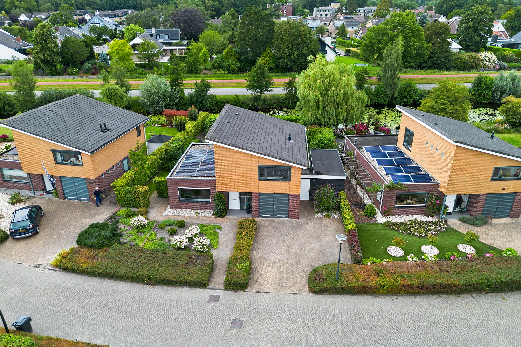 Photo 48 of Waterranonkel 6