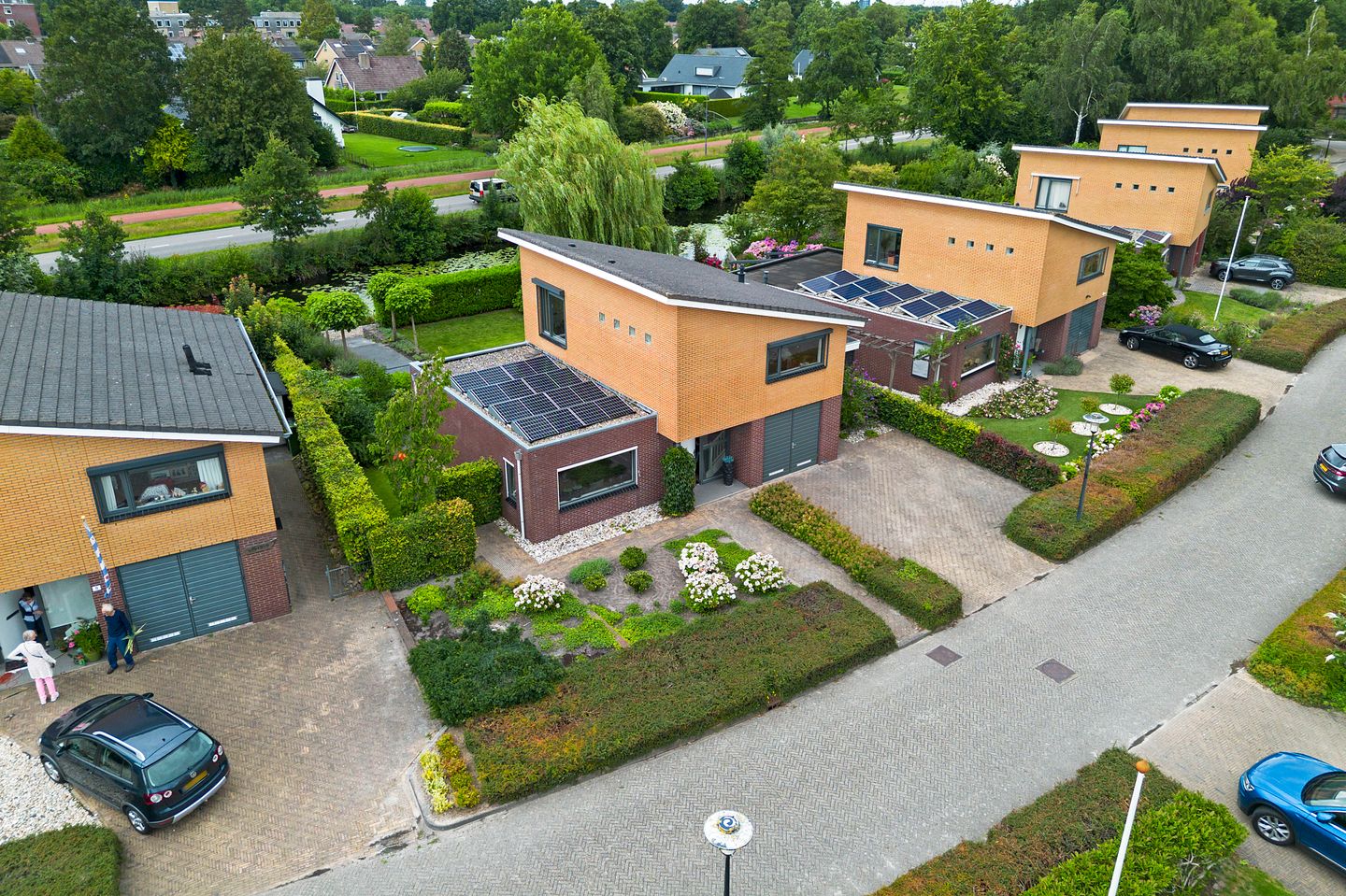 Photo 49 of Waterranonkel 6