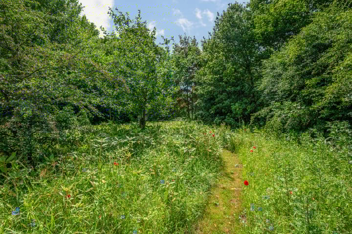 Foto 68 van Veelerveensterweg 5