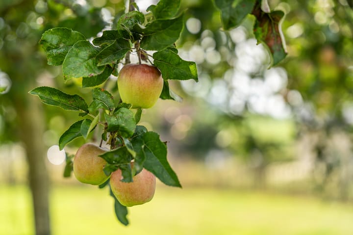 Photo 57 of Rue de beusdael 23