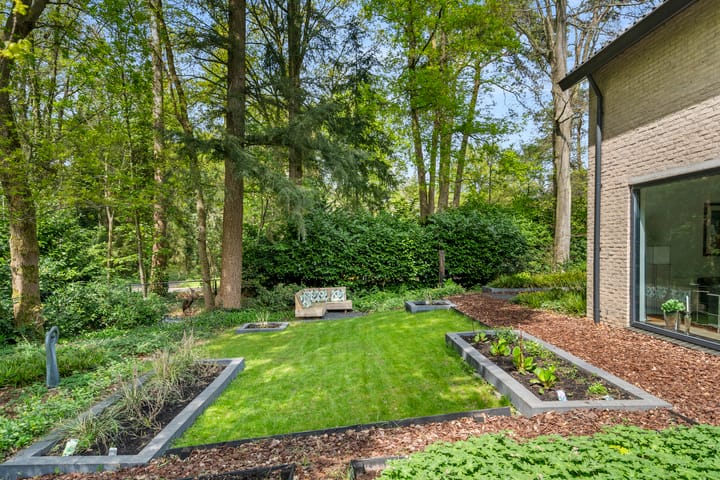 Foto 14 van Konijneberglaan 2