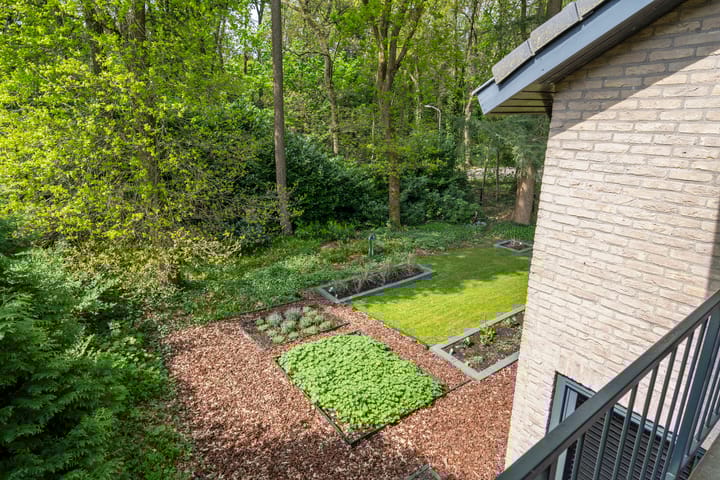 Foto 53 van Konijneberglaan 2