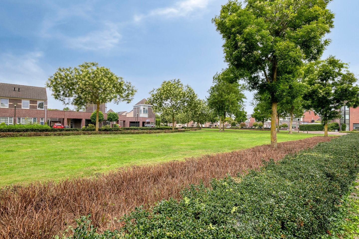 Foto 49 van Ericaplein 106