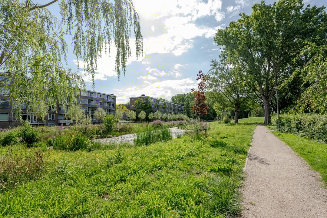 Foto 23 van Vegelinsoord 130