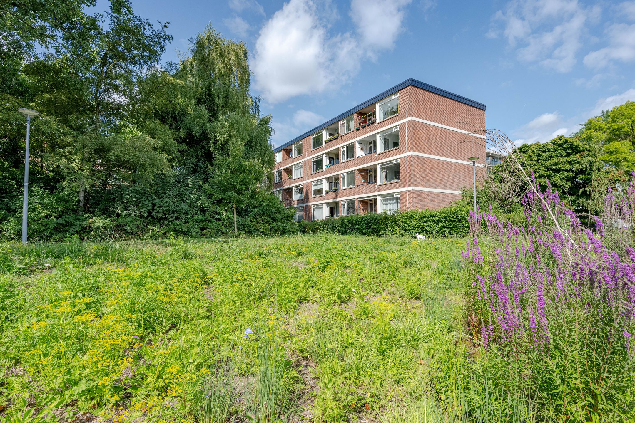 Foto 24 van Vegelinsoord 130