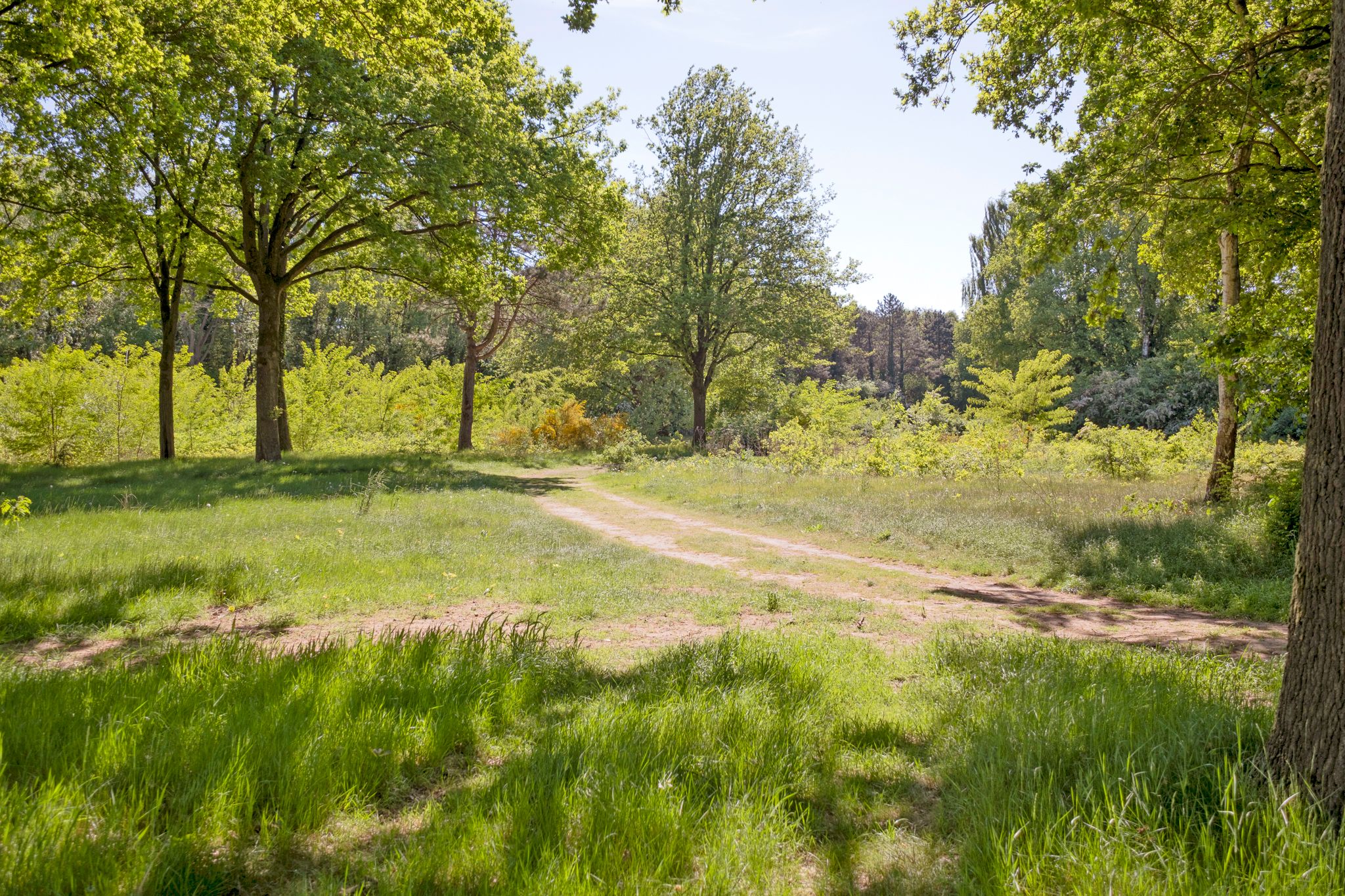 Foto 51 van Laan van het Kinholt 585