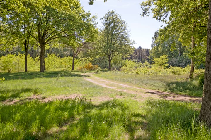 Photo 51 of Laan van het Kinholt 585