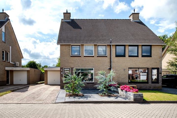 Foto 7 van Tortelduif 65