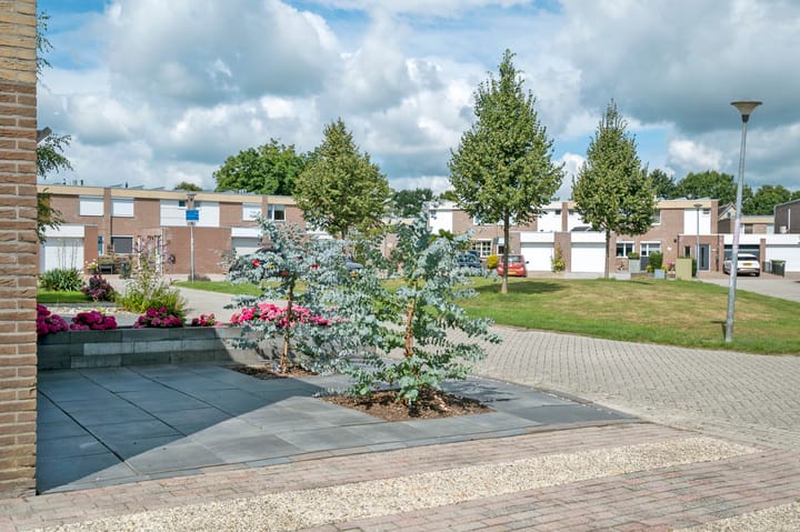 Foto 9 van Tortelduif 65