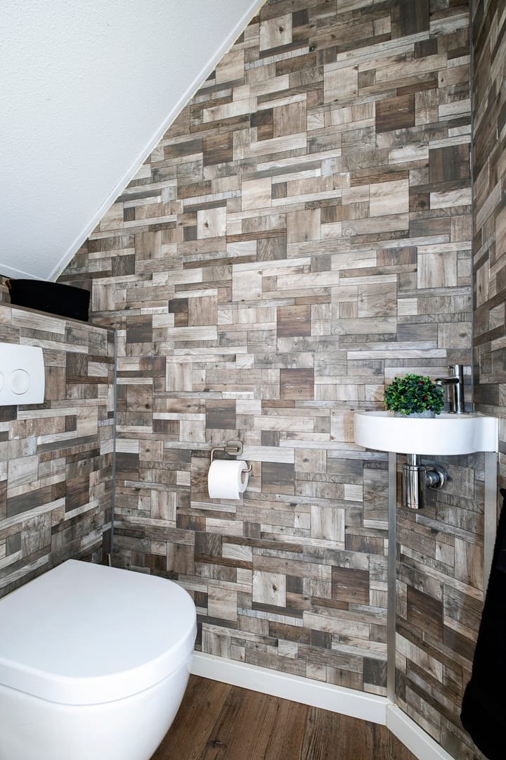 Foto 11 van Tortelduif 65