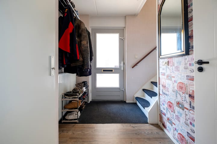 Foto 12 van Tortelduif 65