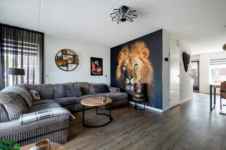 Foto 13 van Tortelduif 65