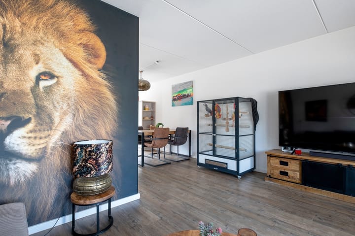 Foto 16 van Tortelduif 65