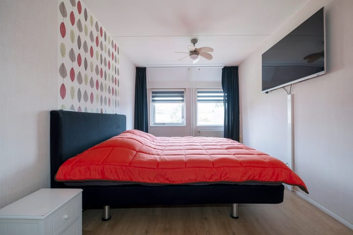 Foto 24 van Tortelduif 65