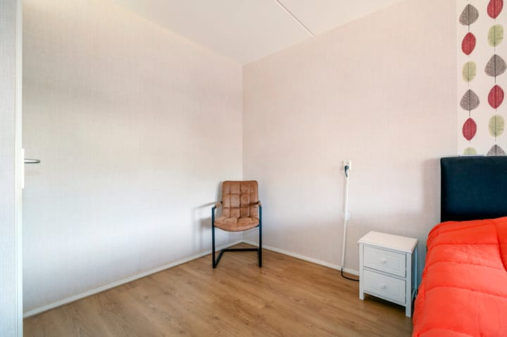 Foto 25 van Tortelduif 65