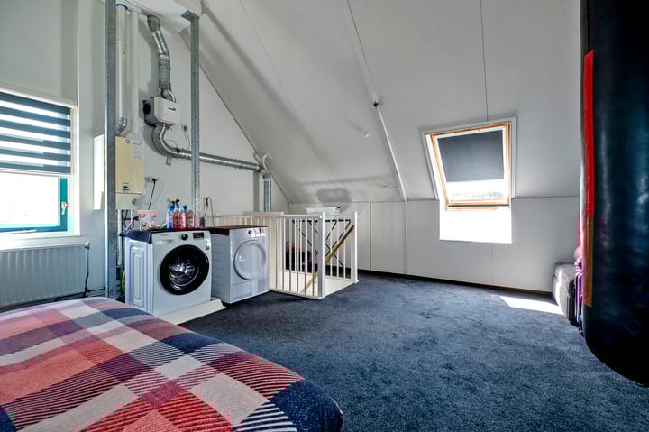 Foto 35 van Tortelduif 65