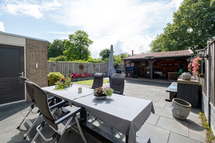 Foto 36 van Tortelduif 65