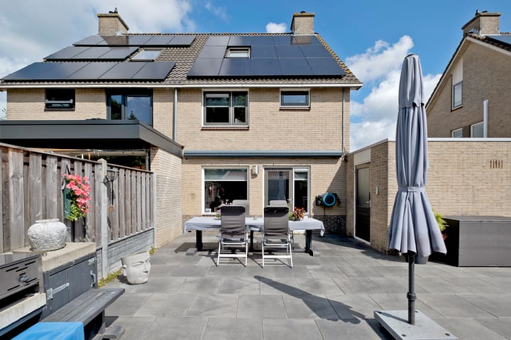 Foto 41 van Tortelduif 65