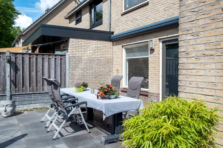 Foto 43 van Tortelduif 65