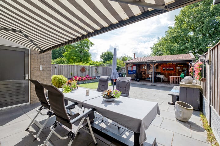 Foto 44 van Tortelduif 65