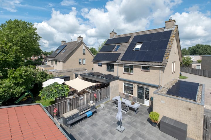 Foto 45 van Tortelduif 65