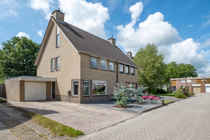 Foto 49 van Tortelduif 65