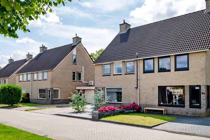 Foto 50 van Tortelduif 65