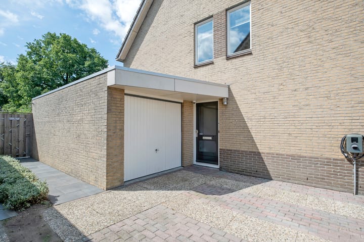 Foto 46 van Tortelduif 65