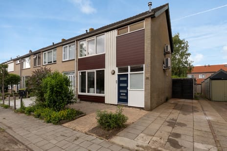 undefined main image