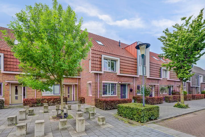 Foto 1 van Pijlkruid 16