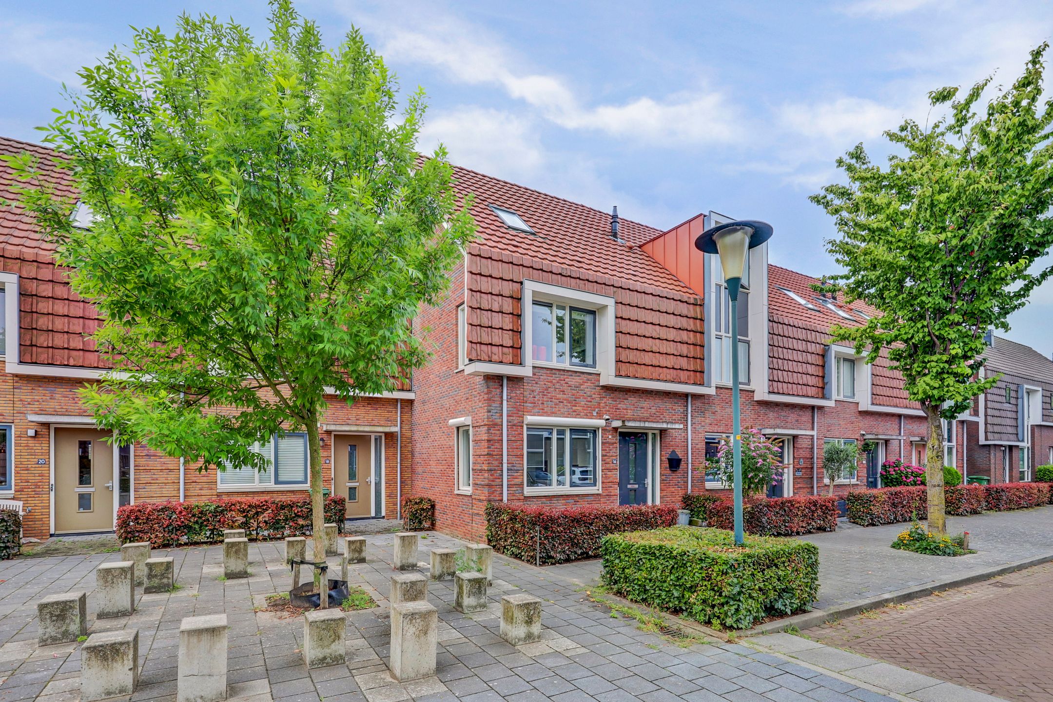 Pijlkruid, 16, Elst (GE), 6661LW, Gelderland, Nederland 16 