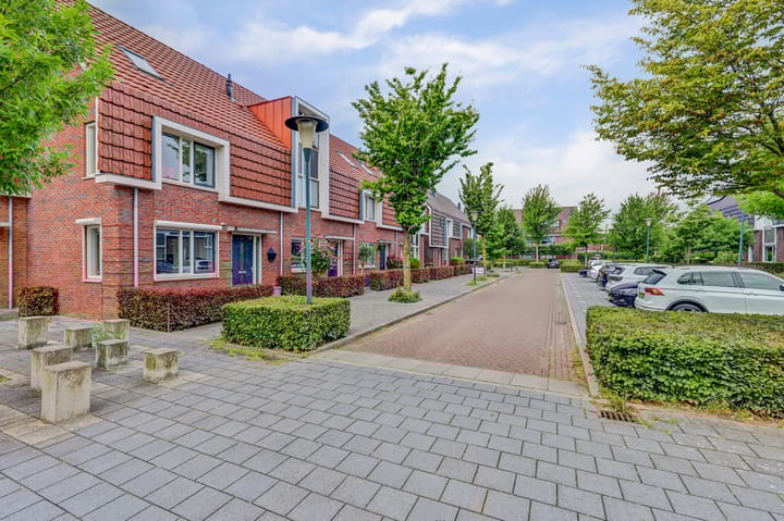 Foto 2 van Pijlkruid 16