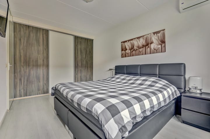 Foto 15 van Pijlkruid 16