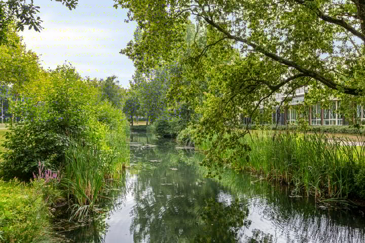 Foto 17 van Staringstraat 302