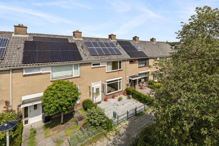 Foto 50 van Gripvelden 19