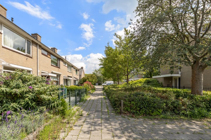 Foto 51 van Gripvelden 19