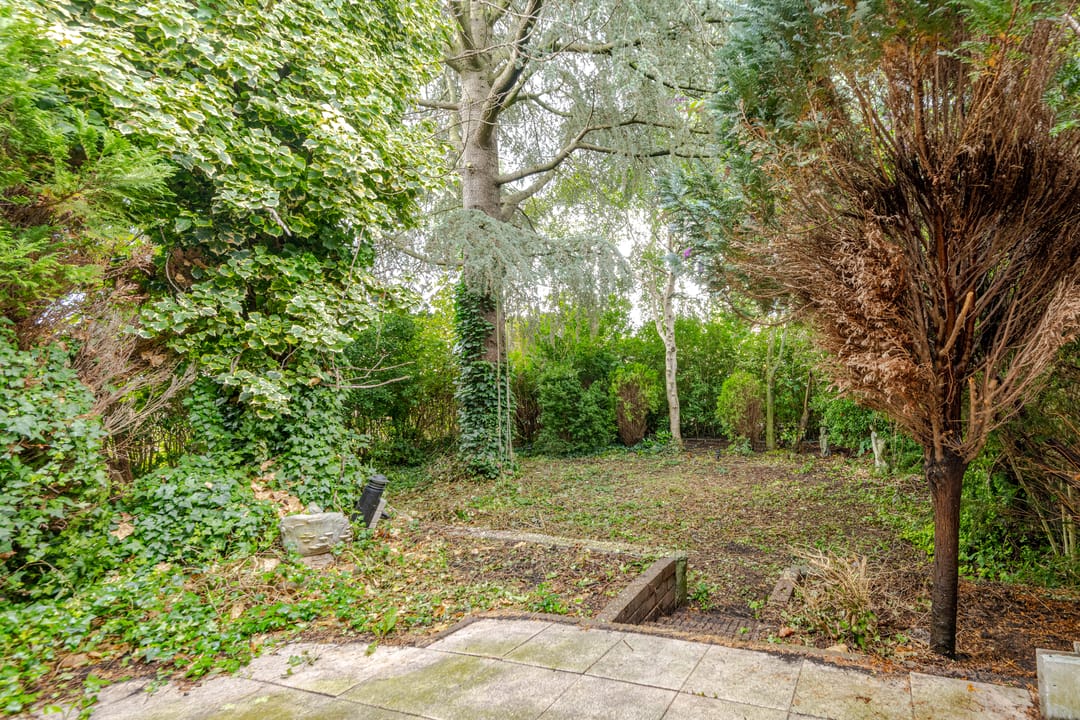 Foto 22 van Middelharnisstraat 130