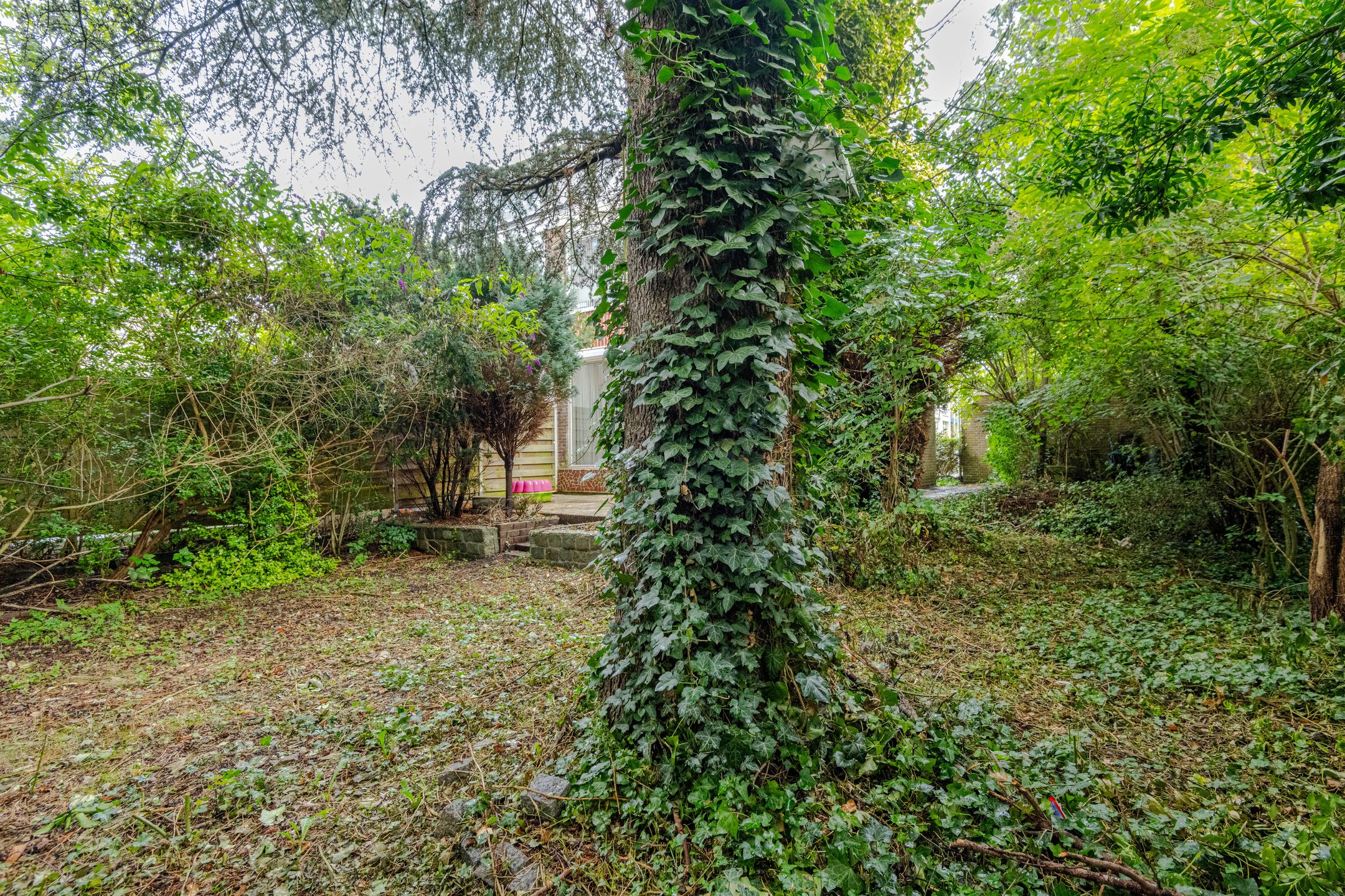 Foto 24 van Middelharnisstraat 130