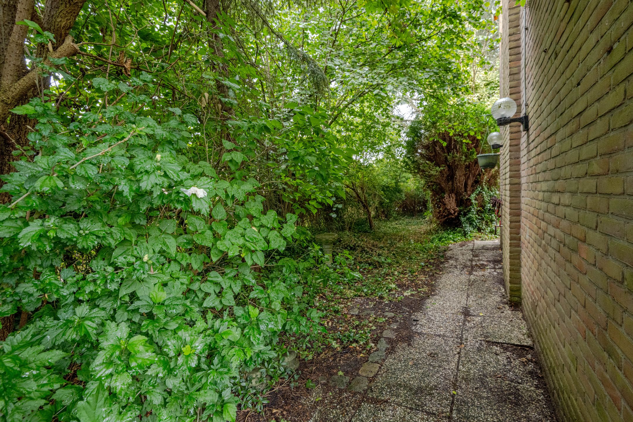 Foto 27 van Middelharnisstraat 130