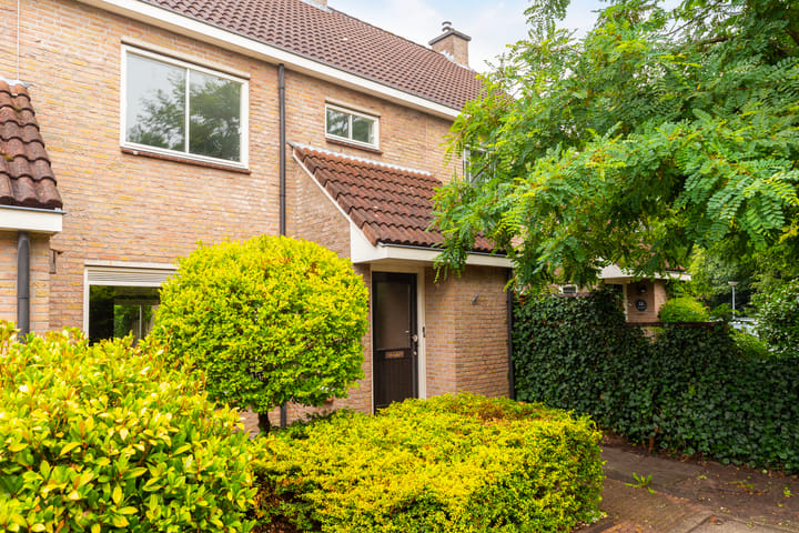 Foto 5 van Zilverschoon 14