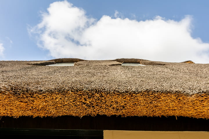 Photo 65 of Benedenkerkseweg 88