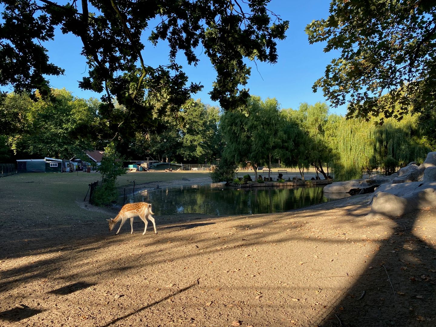 Photo 15 of Cartesius - Nosara