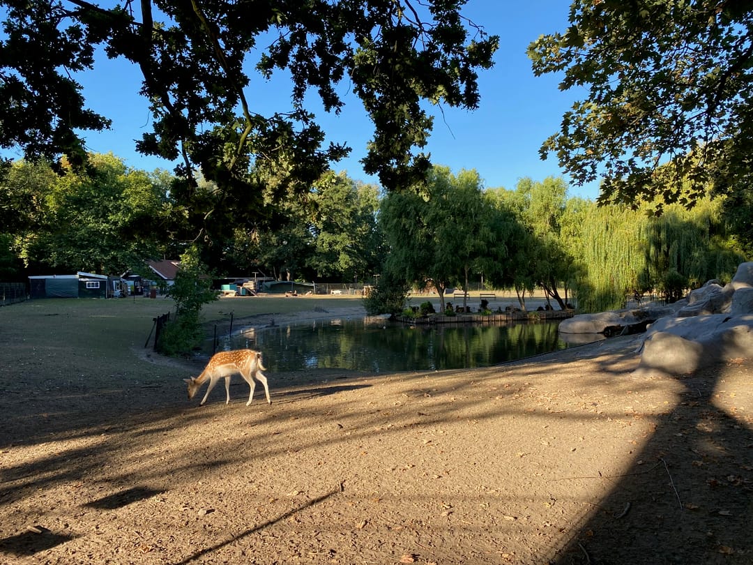 Foto 16 van CAB-rondom 175