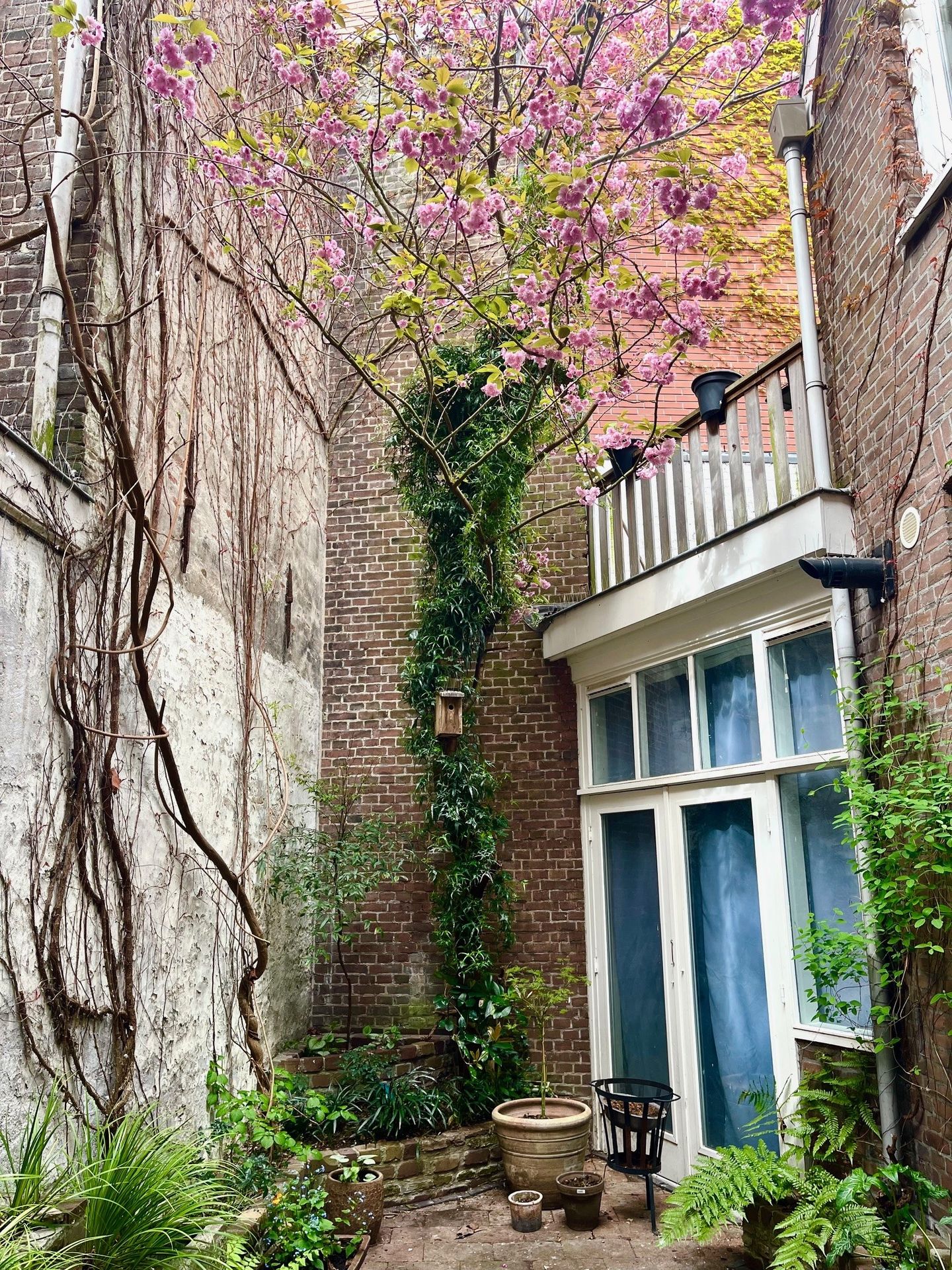 Foto 19 van Torenstraat 87